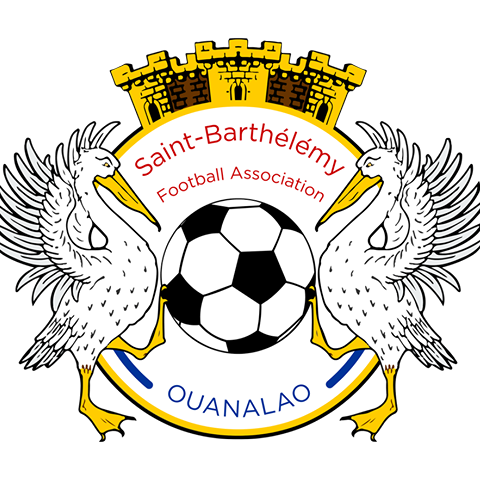 Remmedia-sponsorise-comite-territorial-football-saint-barthélémy